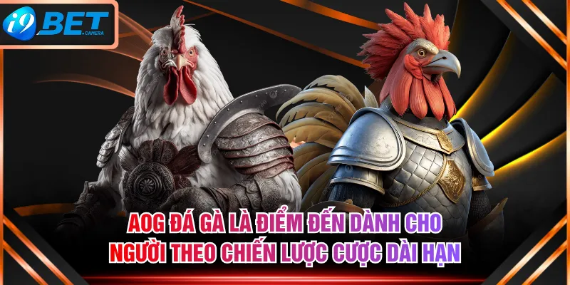 AOG Đá Gà là điểm đến dành cho người theo chiến lược cược dài hạn