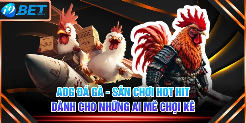 AOG Đá Gà - Sân Chơi Hot Hit Dành Cho Những Ai Mê Chọi Kê