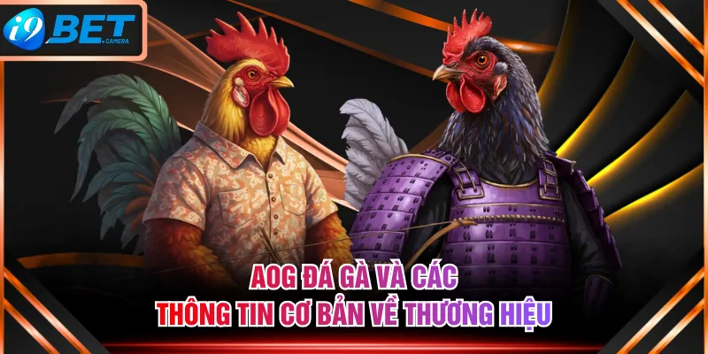 AOG Đá Gà và các thông tin cơ bản về thương hiệu