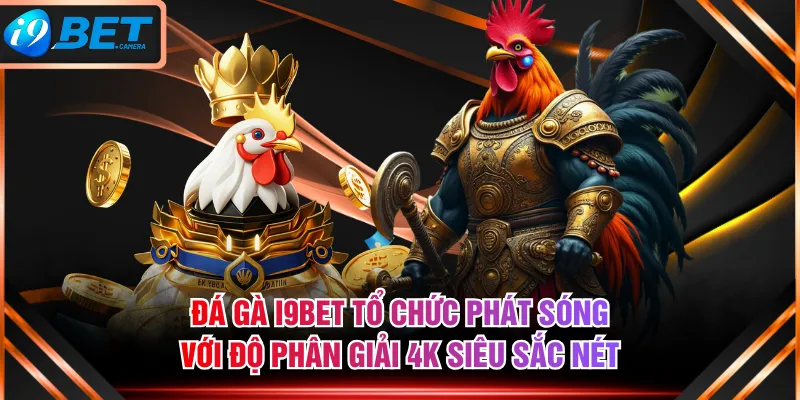 Đá gà I9BET tổ chức phát sóng với độ phân giải 4K siêu sắc nét