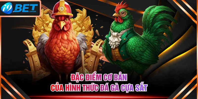 Đặc điểm cơ bản của hình thức đá gà cựa sắt Đặc điểm cơ bản của hình thức đá gà cựa sắt