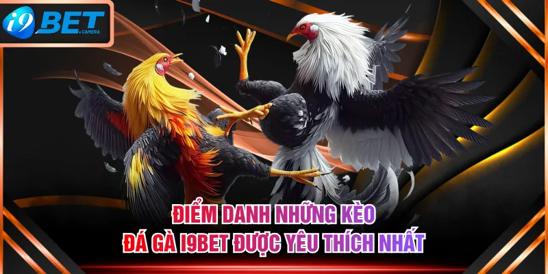 Điểm danh những kèo đá gà I9BET được yêu thích nhất