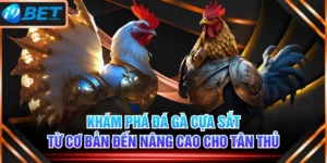 Khám Phá Đá Gà Cựa Sắt Từ Cơ Bản Đến Nâng Cao Cho Tân Thủ