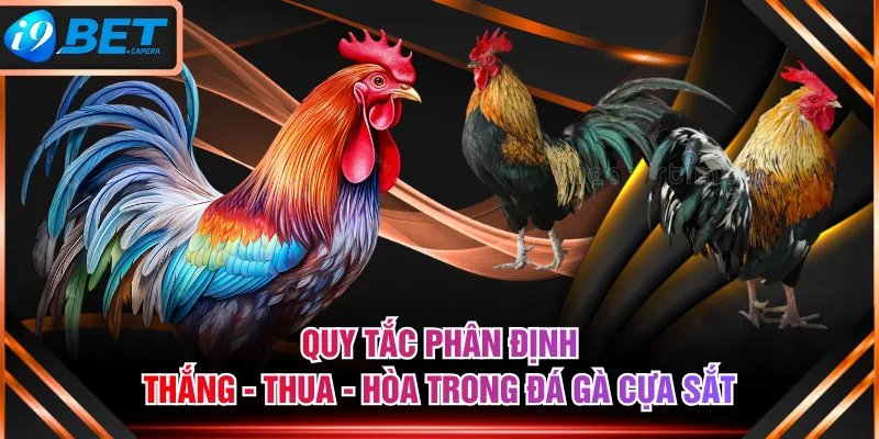 Quy tắc phân định thắng - thua - hòa trong đá gà cựa sắt Quy tắc phân định thắng - thua - hòa trong đá gà cựa sắt