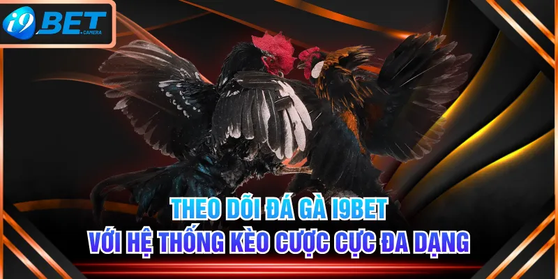 Theo Dõi Đá Gà I9BET Với Hệ Thống Kèo Cược Cực Đa Dạng